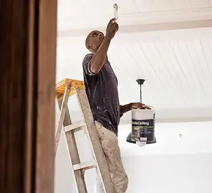 Painting Ceiling